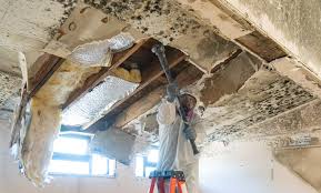 Best Water Damage & Mold Remediation  in South Glens Falls, NY